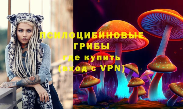 ПСИЛОЦИБИНОВЫЕ ГРИБЫ Бородино