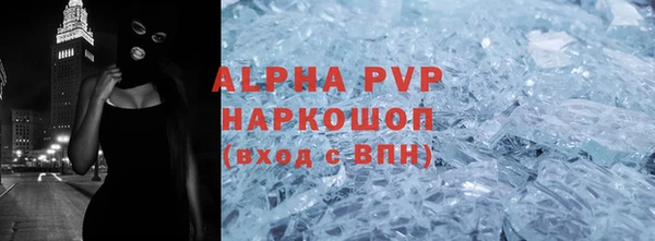 ПСИЛОЦИБИНОВЫЕ ГРИБЫ Бородино