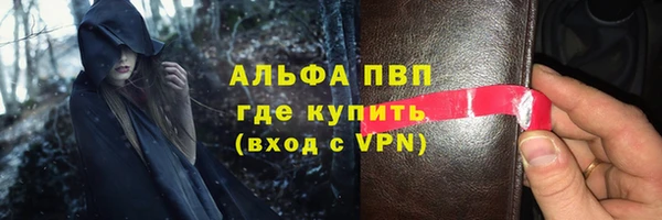 ПСИЛОЦИБИНОВЫЕ ГРИБЫ Бородино