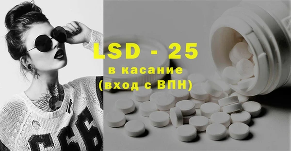 ПСИЛОЦИБИНОВЫЕ ГРИБЫ Бородино