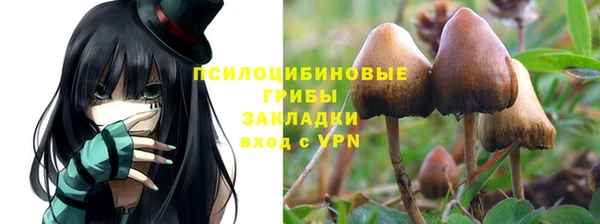 ПСИЛОЦИБИНОВЫЕ ГРИБЫ Бородино