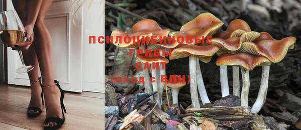 гашишное масло Бронницы