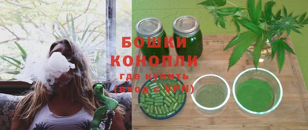 сатива Богданович