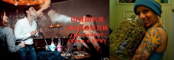ПСИЛОЦИБИНОВЫЕ ГРИБЫ Бородино