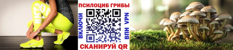 Псилоцибиновые грибы Magic Shrooms Калязин